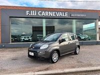 Usata Fiat Panda S 69 CV (50 kW) 2023 Grigio Utilitaria