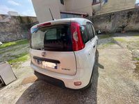 Usata Fiat Panda S 69 CV (50 kW) 2023 Bianco Utilitaria