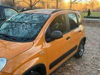 Usata Fiat Panda 4x4 Wild 2017 Utilitaria