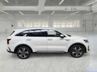Usata Kia Sorento 230 CV (169 kW) 2021 Biap SUV