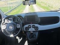 Usata Fiat Panda Cross Cross 69 CV (50 kW) 2022 Utilitaria