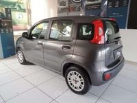 Usata Fiat Panda Easy 69 CV (50 kW) 2017 Grigio Utilitaria