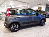 usata Fiat Panda Cross 1.0 FireFly S&S Hybrid City usato