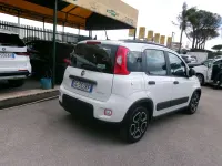 Usata Fiat Panda Cross Cross 69 CV (50 kW) 2021 Bianco Utilitaria