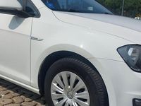 Usata VW Golf VII 110 CV (80 kW) 2016 Bianco Utilitaria