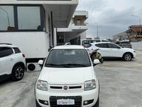 Usata Fiat Panda 4x4 Climbing 74 CV (54 kW) 2011 Bianco Utilitaria
