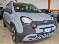 Usata Fiat Panda Cross Cross 69 CV (50 kW) 2020 Grigio Utilitaria