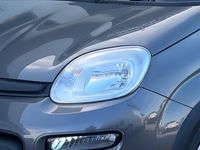 Usata Fiat Panda S 70 CV (51 kW) 2022 Grigio Utilitaria