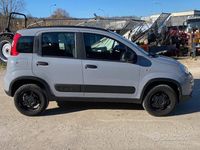 Usata Fiat Panda 4x4 2019 Grigio Utilitaria
