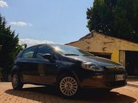 Usata Fiat Punto Evo Dynamic 65 CV (47 kW) 2010 Grigio Utilitaria