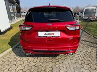 Usata Ford Kuga ST-Line 190 CV (139 kW) 2021 Rosso SUV