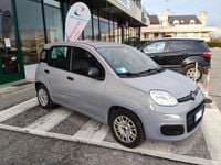 Usata Fiat Panda 70 CV (51 kW) 2021 Grigio Berlina