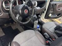 Usata Fiat Panda Cross Cross 86 CV (63 kW) 2020 Utilitaria