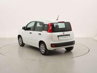 Usata Fiat Panda Easy 69 CV (50 kW) 2020 Bianco Utilitaria