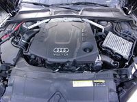 usata Audi A5 SPB 3.0 TDI S tronic quattro edition iva