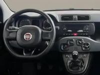 Usata Fiat Panda 70 CV (51 kW) 2021 Grigio Utilitaria