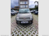 Usata Fiat Panda 4x4 Climbing 69 CV (50 kW) 2012 Grigio Utilitaria