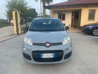 Usata Fiat Panda Easy 69 CV (50 kW) 2019 Grigio Utilitaria
