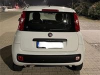 Usata Fiat Panda 95 CV (69 kW) 2017 Bianco Utilitaria