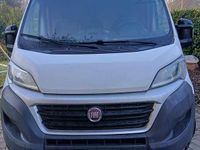 Usata Fiat Ducato 131 CV (96 kW) 2017 Furgone