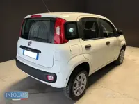 Usata Fiat Panda Easy 84 CV (61 kW) 2018 Bianco pastello Utilitaria