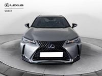 Usata Lexus UX 250h Luxury Line 184 CV (135 kW) 2019 Sonic titanium SUV