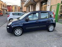 usata Fiat Panda 3ª serie 1.2 Easy