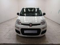 Nuova Fiat Panda Icon 69 CV (50 kW) 2025 Bianco Berlina