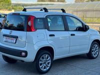 Usata Fiat Panda Easy 80 CV (58 kW) 2018 Bianco Utilitaria