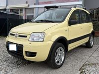 Usata Fiat Panda 4x4 Climbing 60 CV (44 kW) 2006 Giallo Utilitaria
