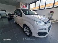 Usata Fiat Panda 69 CV (50 kW) 2016 Beige Berlina