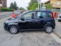 Usata Fiat Panda S 69 CV (50 kW) 2024 Nero Utilitaria