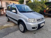 Usata Fiat Panda 4x4 Climbing 60 CV (44 kW) 2010 Argento Utilitaria