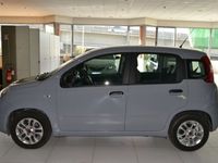 usata Fiat Panda 1.0 - 1.0 70cv hybrid