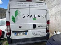 Usata Fiat Ducato 117 CV (86 kW) 2013 Bianco Furgone