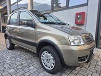 Usata Fiat Panda 4x4 Climbing 60 CV (44 kW) 2008 Marrone Utilitaria
