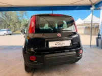 Usata Fiat Panda Cross Cross 70 CV (51 kW) 2023 Nero Utilitaria