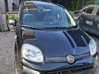 Usata Fiat Panda Easy 69 CV (50 kW) 2021 Utilitaria