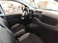 Usata Fiat Panda Cross Cross 70 CV (51 kW) 2021 Grigio Utilitaria