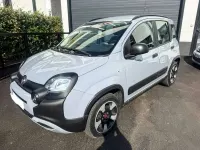 Usata Fiat Panda Cross Cross 69 CV (50 kW) 2021 Grigio Utilitaria