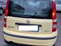 Usata Fiat Panda Dynamic 60 CV (44 kW) 2009 Giallo Utilitaria