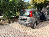 Usata Fiat Panda 70 CV (51 kW) 2023 Grigio Berlina