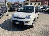 Usata Fiat Panda S 69 CV (50 kW) 2024 Bianco Utilitaria