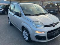 Usata Fiat Panda Easy 75 CV (55 kW) 2014 Grigio Utilitaria