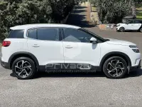Usata Citroën C5 Aircross Feel 131 CV (96 kW) 2020 Bianco SUV