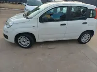 Usata Fiat Panda 95 CV (69 kW) 2019 Bianco Utilitaria