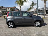 Usata Fiat Panda Lounge 69 CV (50 kW) 2019 Grigio Utilitaria