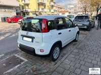 Usata Fiat Panda S 70 CV (51 kW) 2024 Bianco Berlina