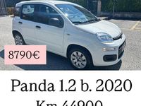 Usata Fiat Panda Easy 69 CV (50 kW) 2020 Rosso Utilitaria