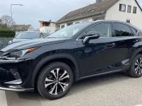 Usata Lexus NX300h 109 CV (80 kW) 2019 SUV